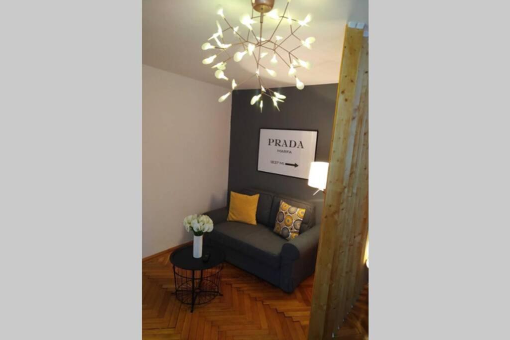 Art & Design Apt - City Center Timisoara Esterno foto