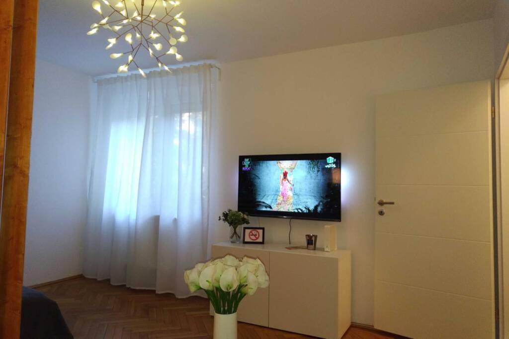 Art & Design Apt - City Center Timisoara Esterno foto